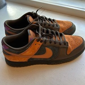 Nike dunk cinder